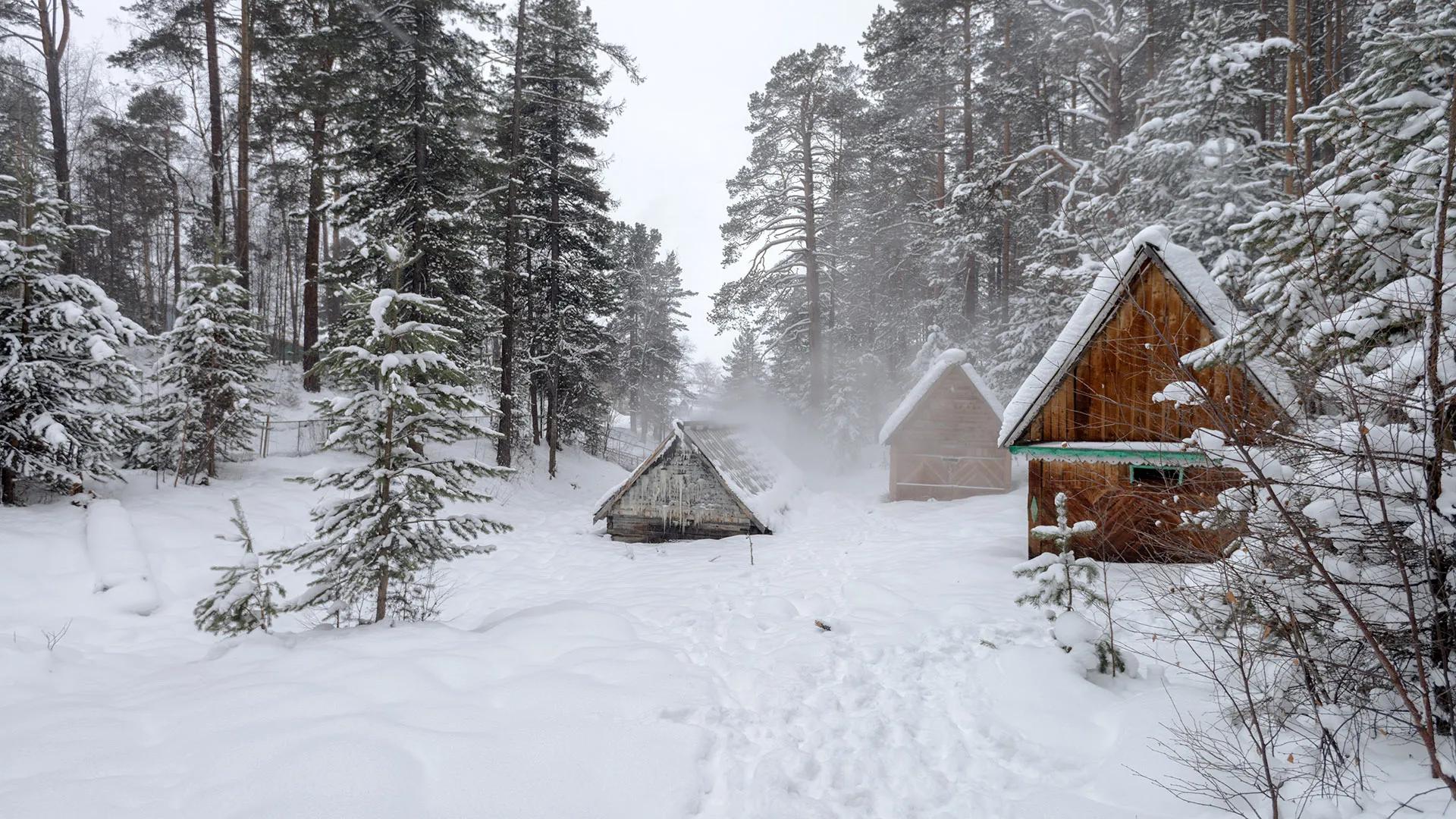 Фото: shutterstock.com, Gennadiy Solovyev