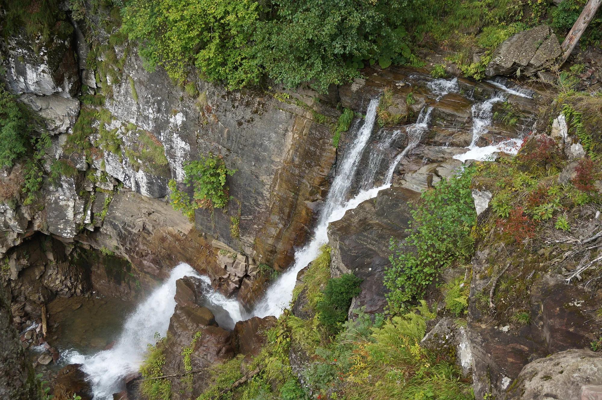 Фото: Shutterstock / stasB