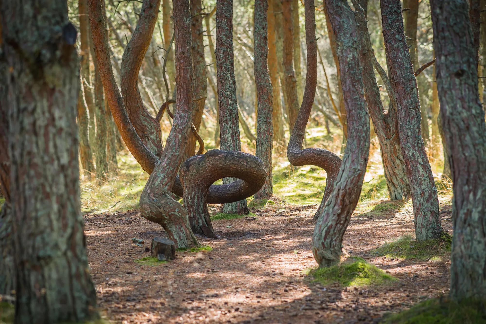 Фото: Shutterstock / siete_vidas