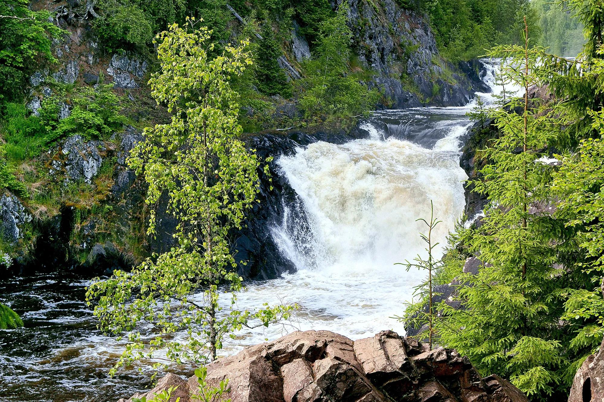 Фото: Shutterstock / tatif55