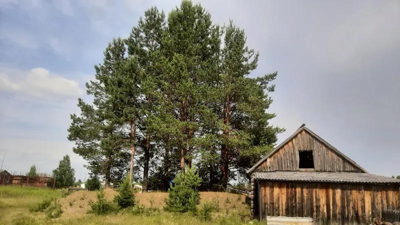 Фото: ГБУ СО «ЦРТ СО»
