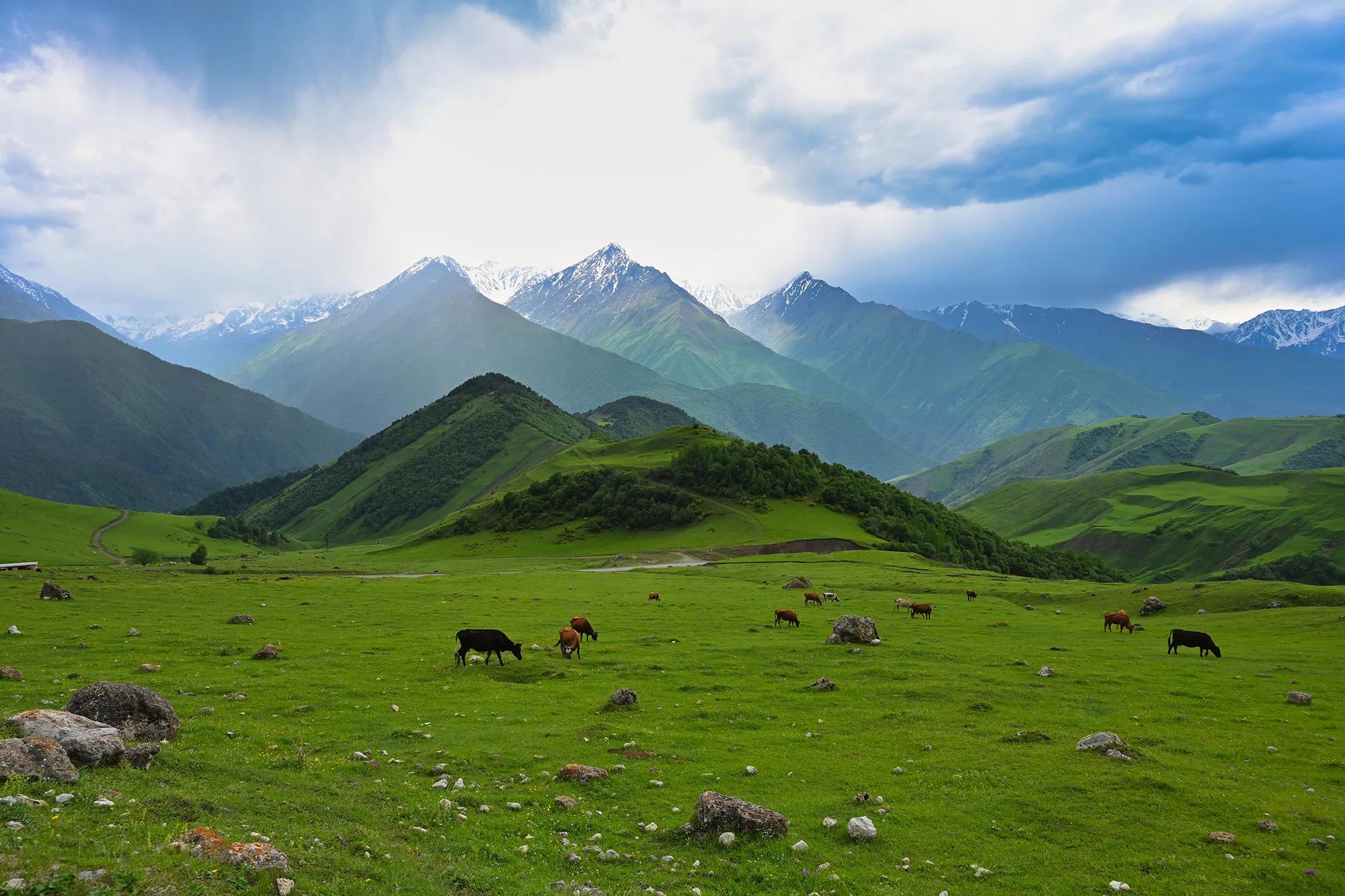 Фото: Shutterstock / pdeminhiker