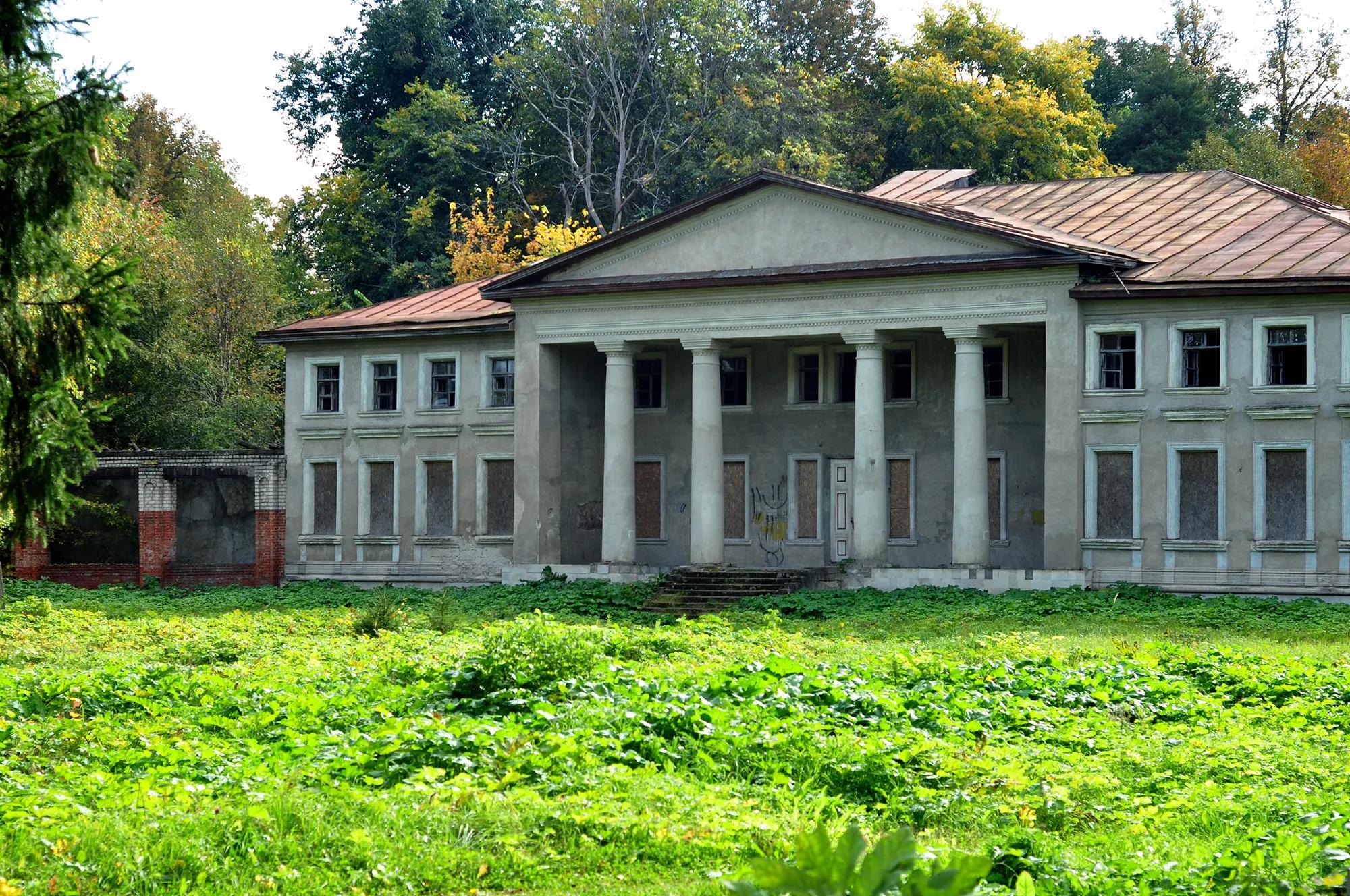Фото: Shutterstock / ziegenbock