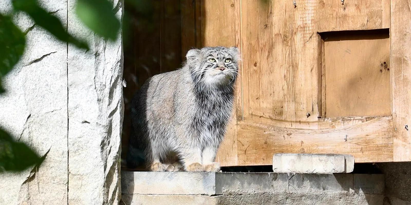 зоопарк