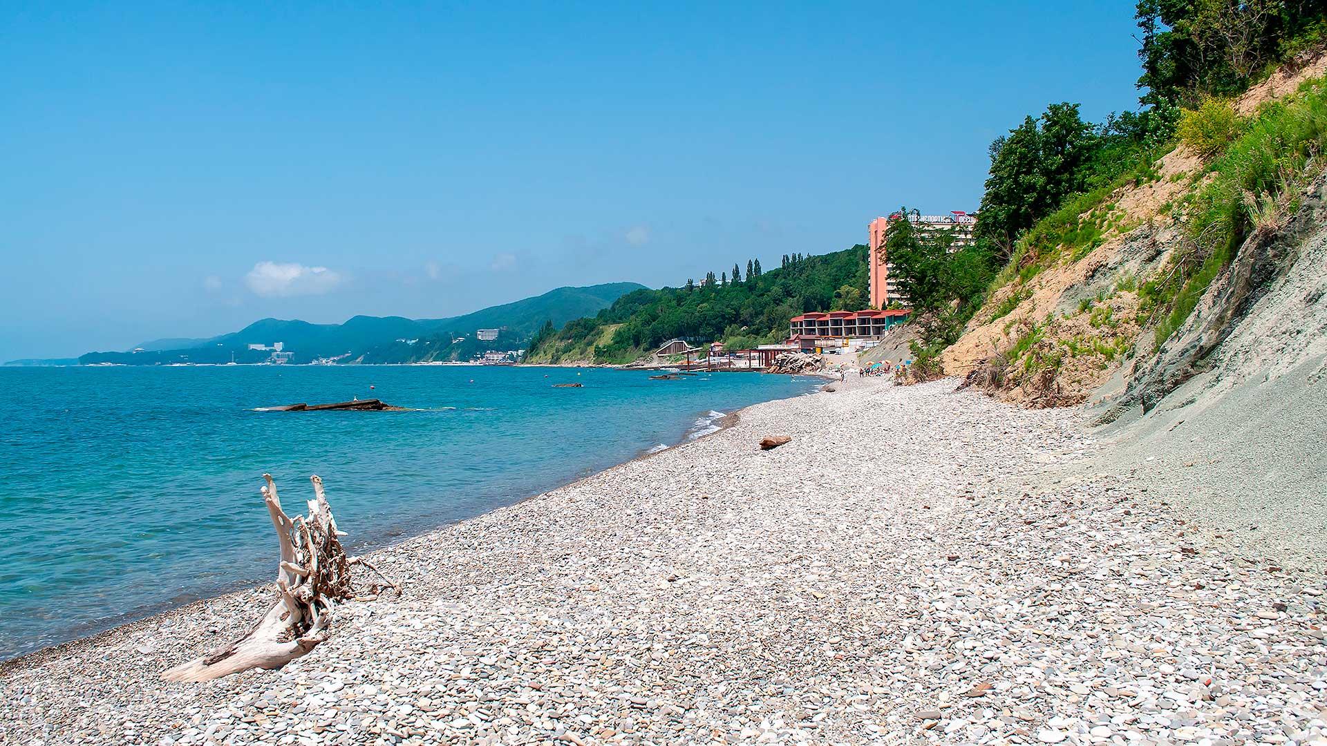 Фото: shutterstock.com (автор: NsdPower)