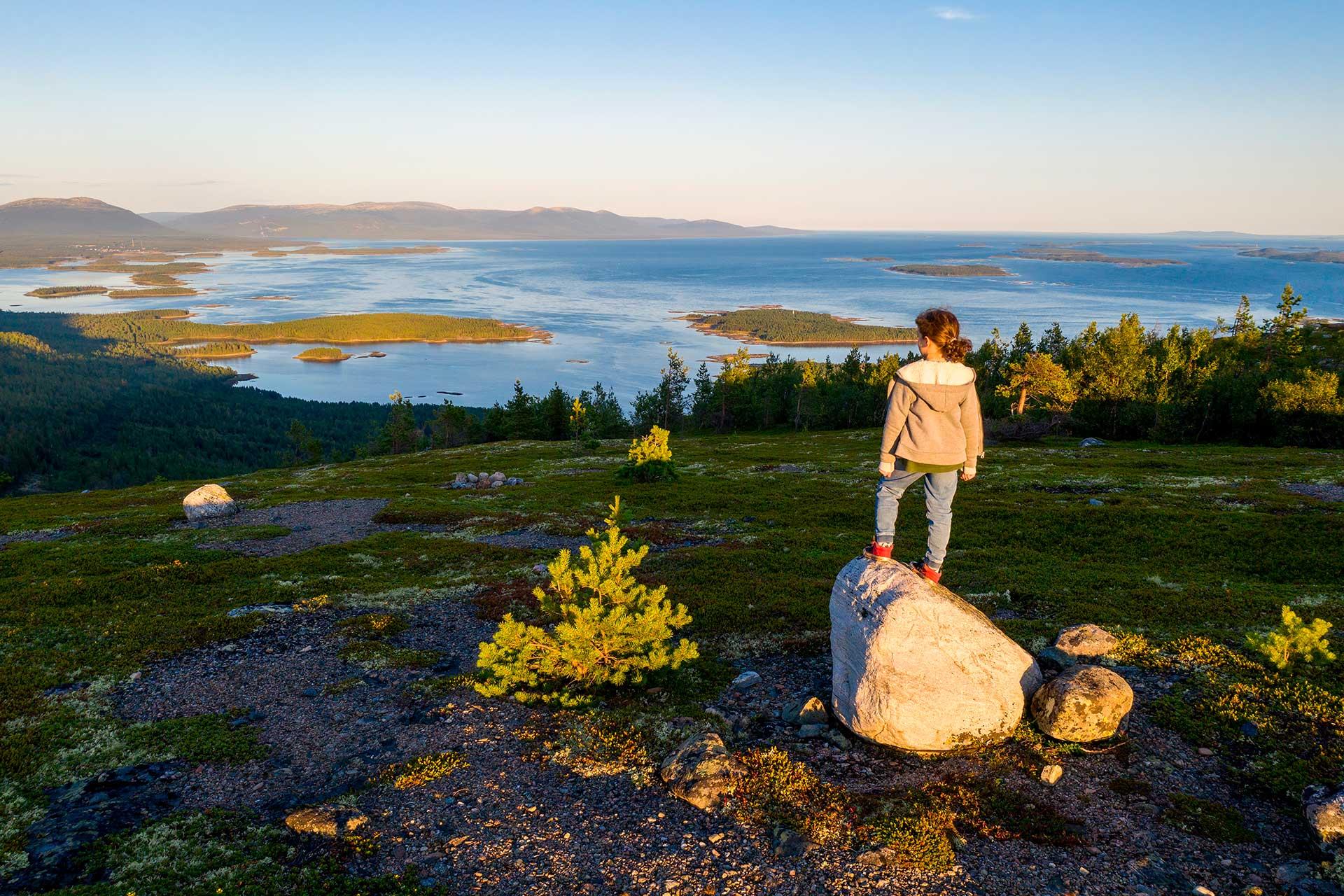 Фото: shutterstock.com (автор: Kirill-Skorobogatko)