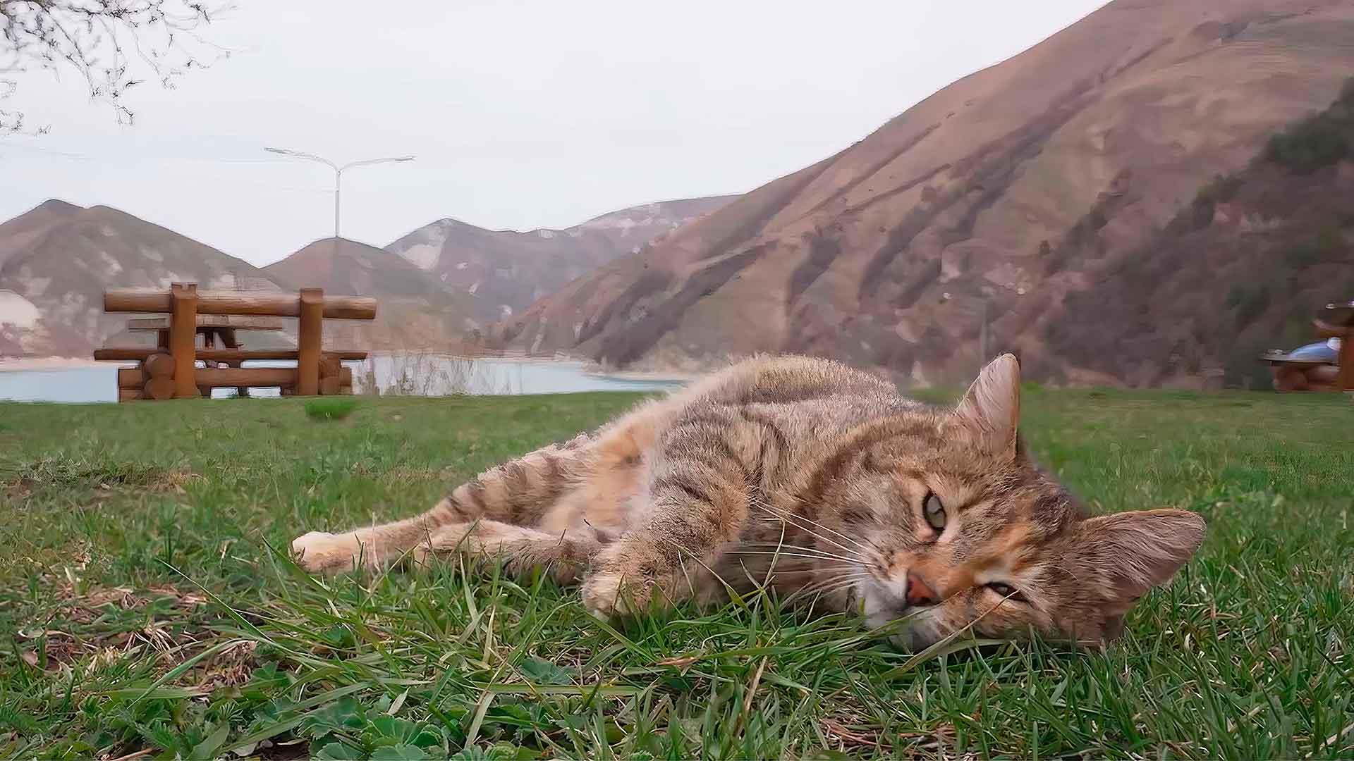 Фото: Марина Глаголева