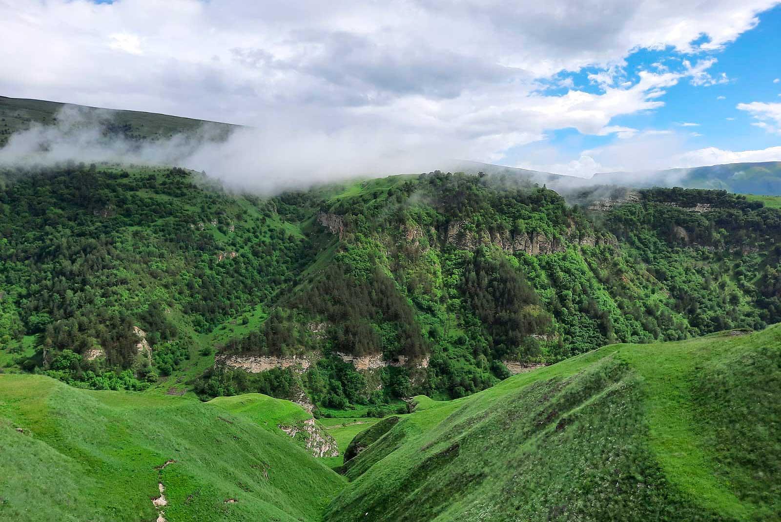 Фото: пресс-служба ЧГУ