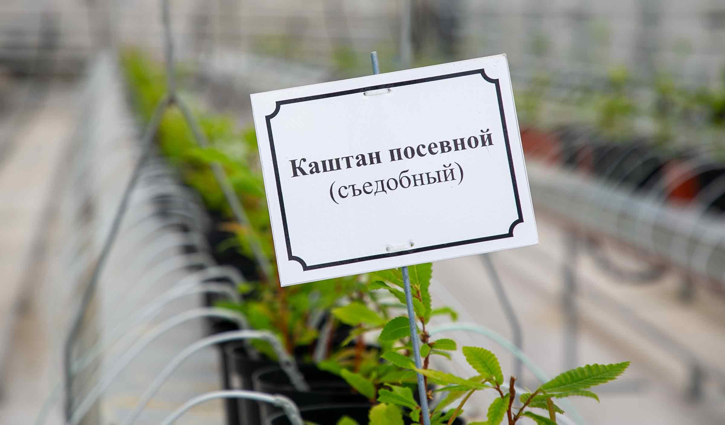 Фото: АНО «Национальные приоритеты»