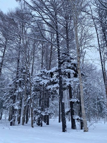 Южно-Сахалинск Городской Парк 4.jpg